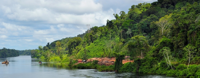 The future of community forests in Suriname - In conversation with Rudi van Kanten