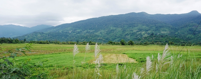 Community forest land allocation can help to achieve climate objectives in Viet Nam - In conversation with Tran Nam Thang