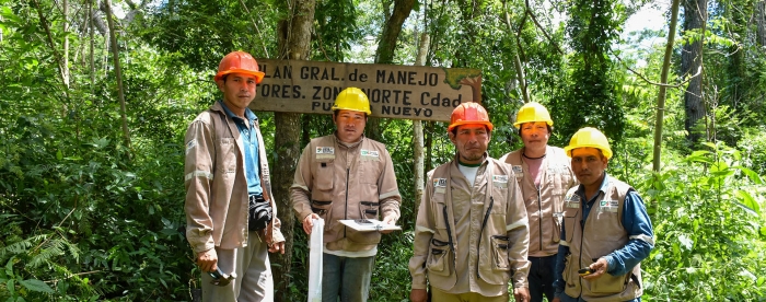 Indigenous territorial governance for forest conservation in Monteverde, Bolivia