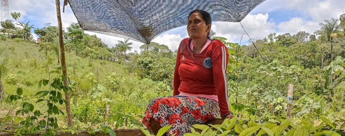 Participatory productive restoration in Colombia — from proposition to practice