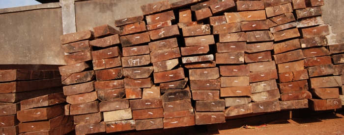 TBI Ghana pilots Wood Tracking System for the domestic market